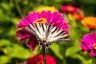 DSC_0004.jpg