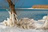 DSC_0111.jpg