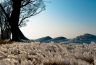 DSC_0148.jpg