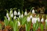 DSC_0163.jpg