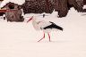 DSC_0222-2.jpg
